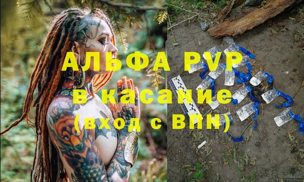 гидра Михайловка