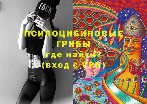 гидра Михайловка