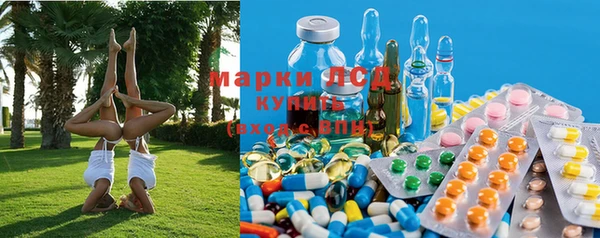 гидра Михайловка