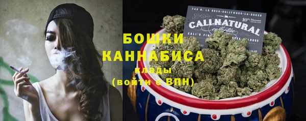шишки Анива