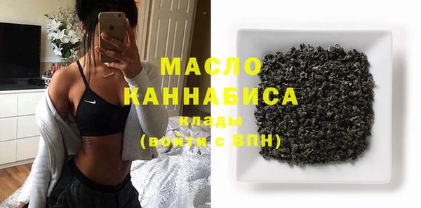 гидра Михайловка