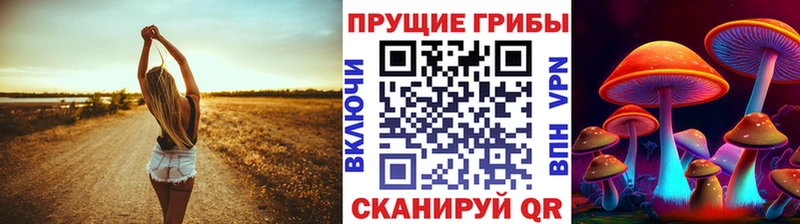 KRAKEN сайт  Гвардейск  Псилоцибиновые грибы мухоморы 