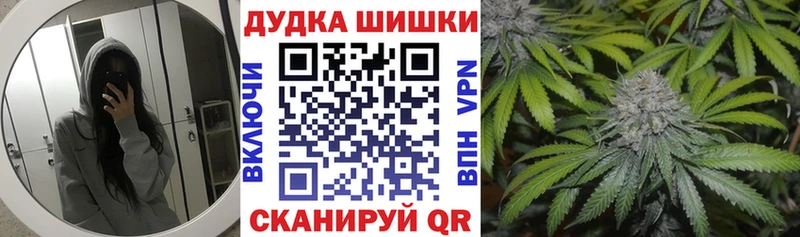 где найти наркотики  Гвардейск  Канабис марихуана 